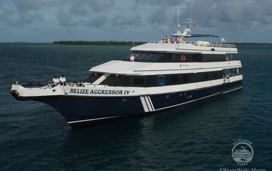 M/V Belize Aggressor VI Yacht